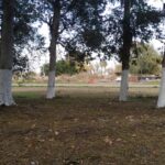 WhatsApp Image 2020-06-17 at 09.11.17 (2)
