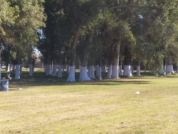 WhatsApp Image 2020-06-18 at 13.03.01 (1)